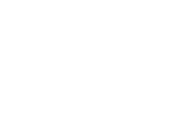 Ethiciti